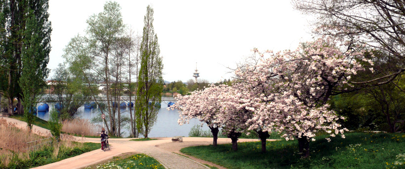 Frühling im Seepark