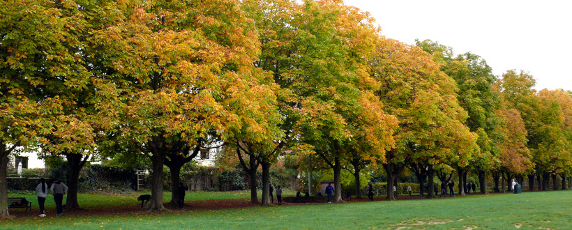 Herbst im Seepark