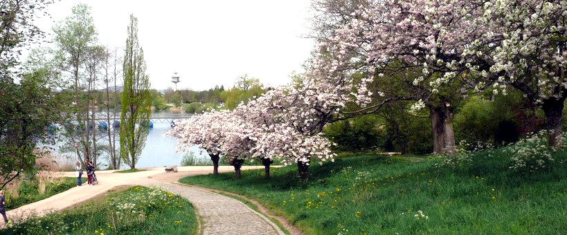 Frühling im Seepark